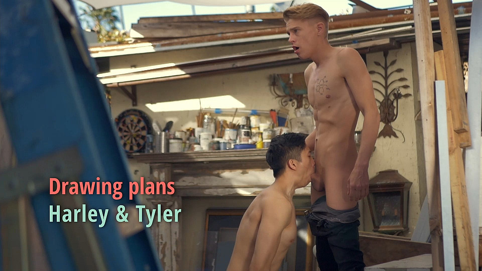 Drawing Plans - Harley and Tyler