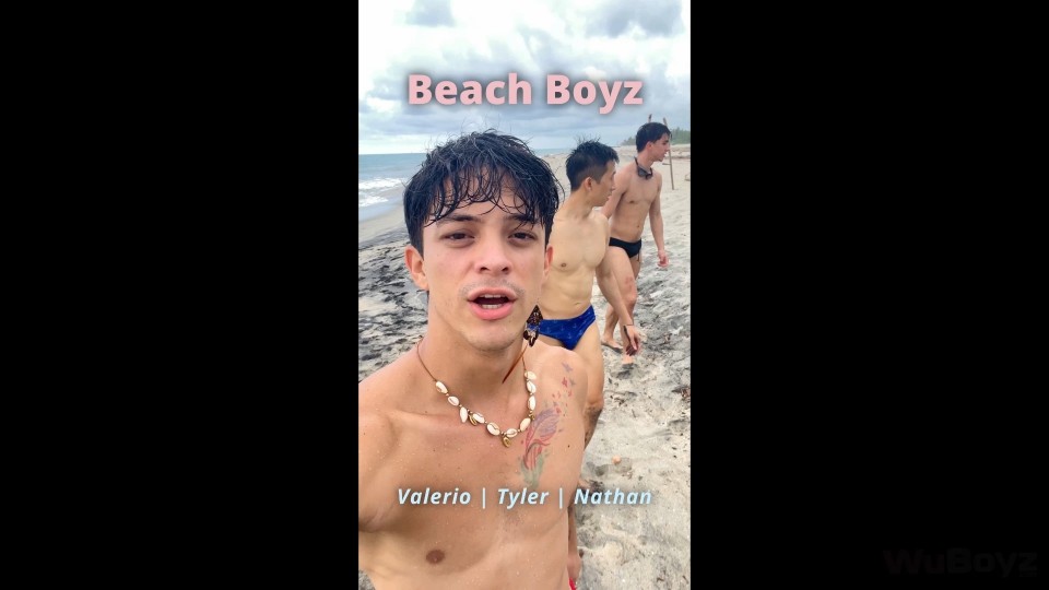 Beach Boys - Vlog One