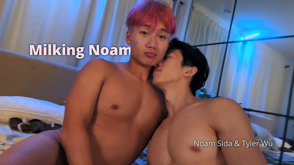 MilkingNoam